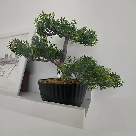 J&j Διαμέρισμα Βελιγράδι